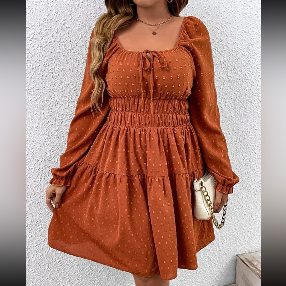 Plus size rust brown Swiss dot tie front dress